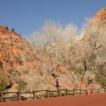 Zion Nationa Park - Utah